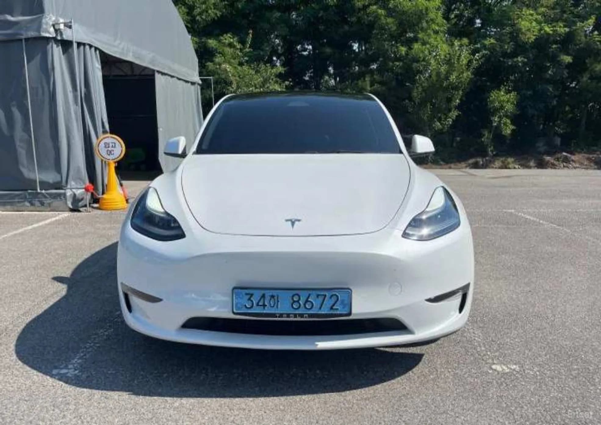 Model Y