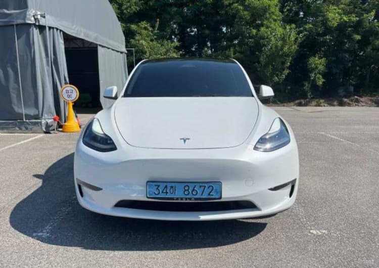 Model Y