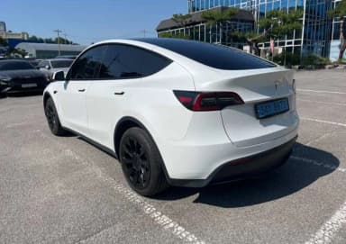 Model Y