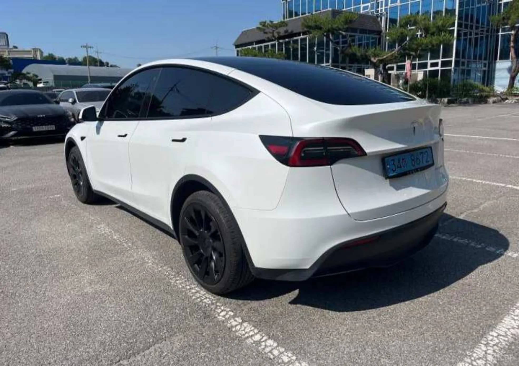 Model Y