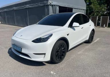 Model Y
