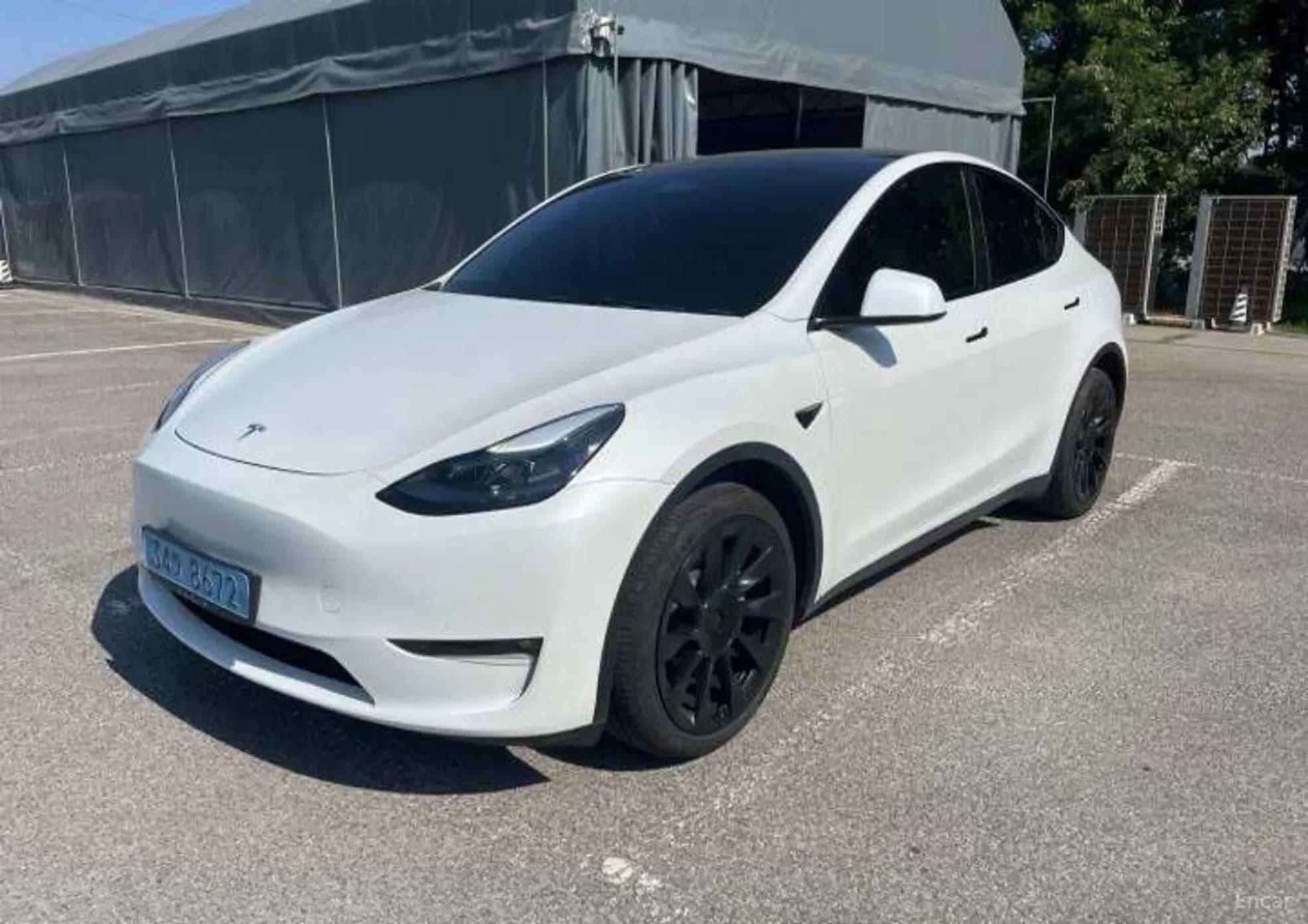 Model Y