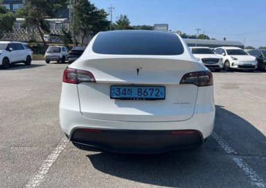 Model Y
