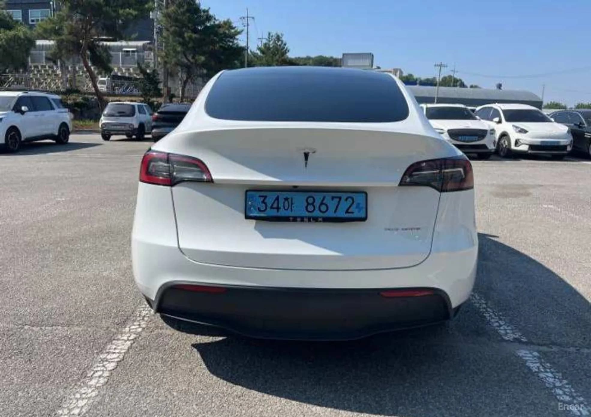Model Y