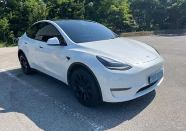 Model Y