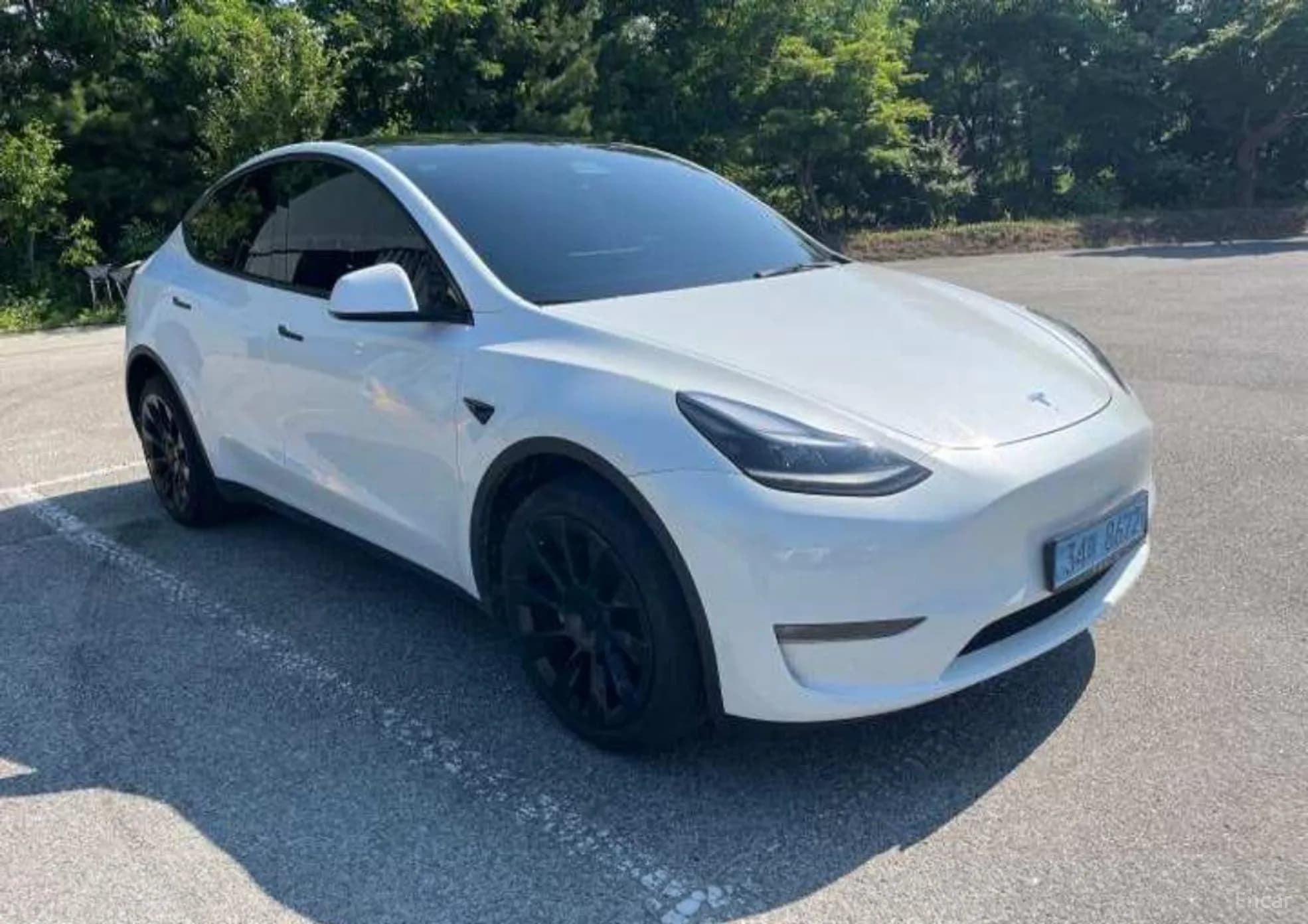 Model Y