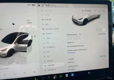 Model Y