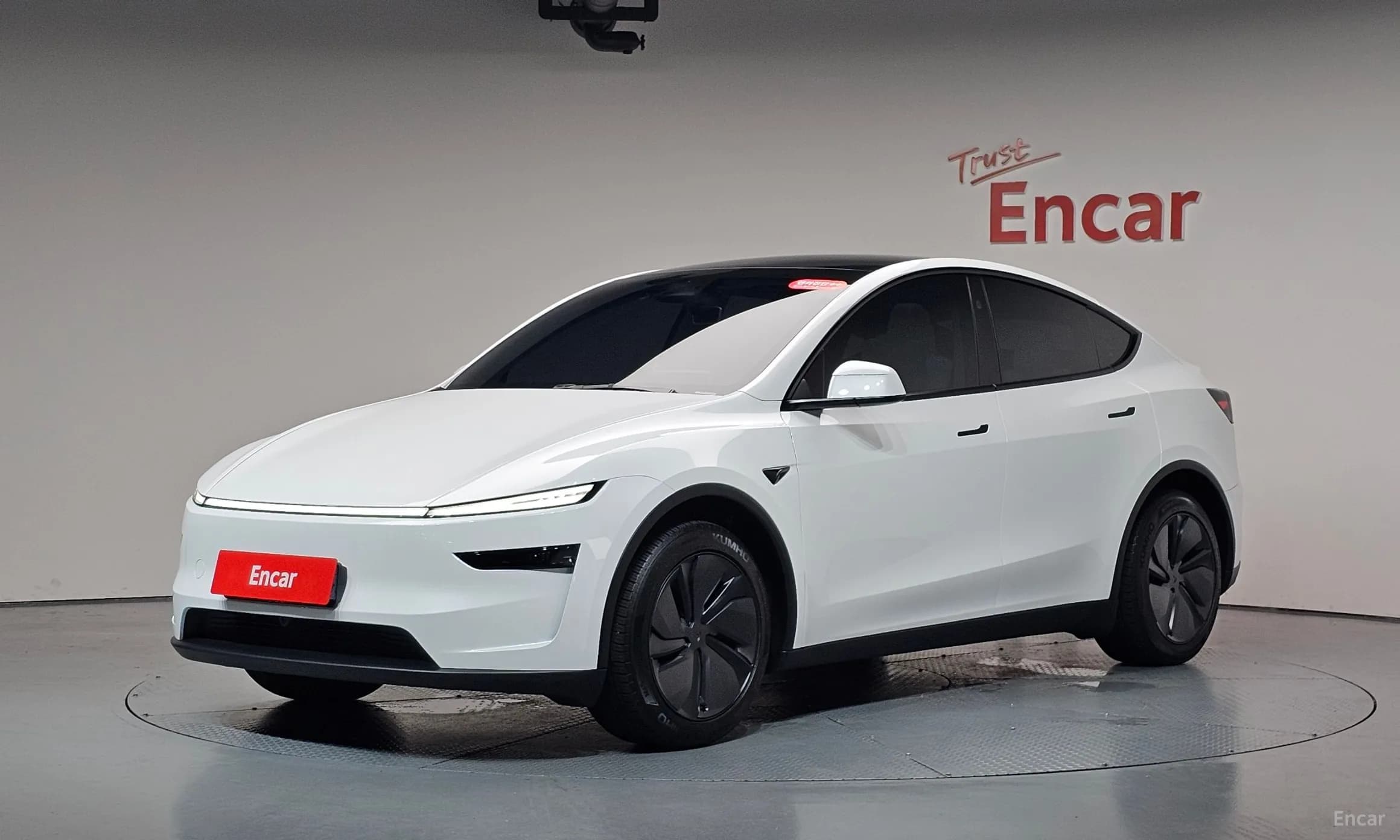 Model Y