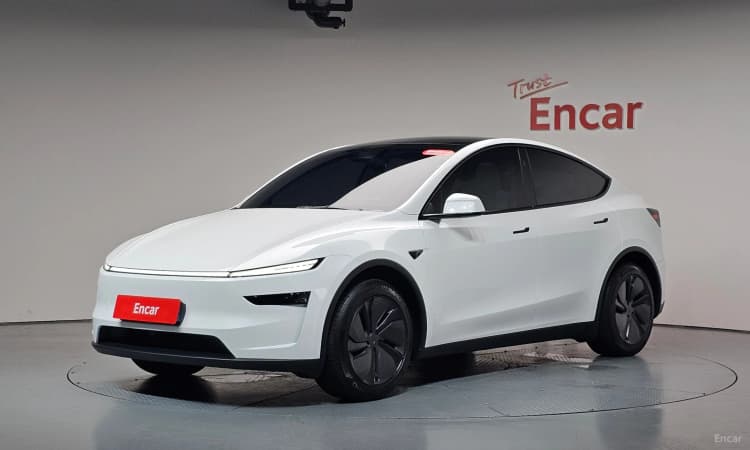 Model Y