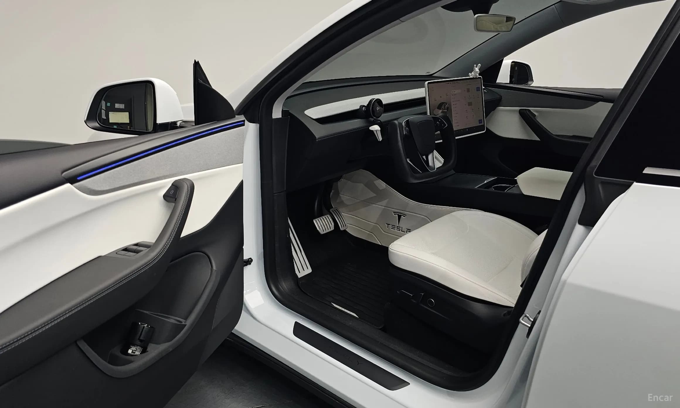 Model Y