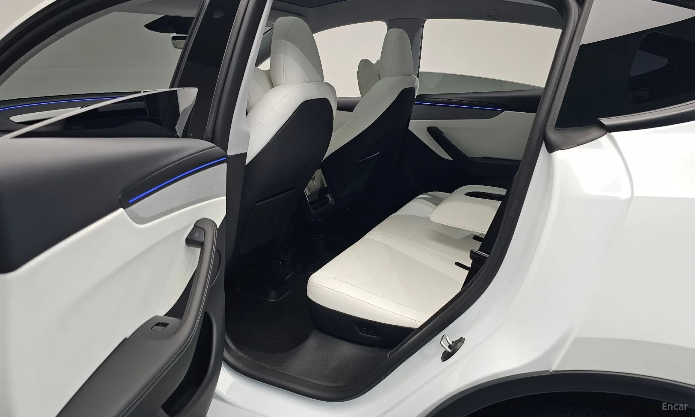 Model Y
