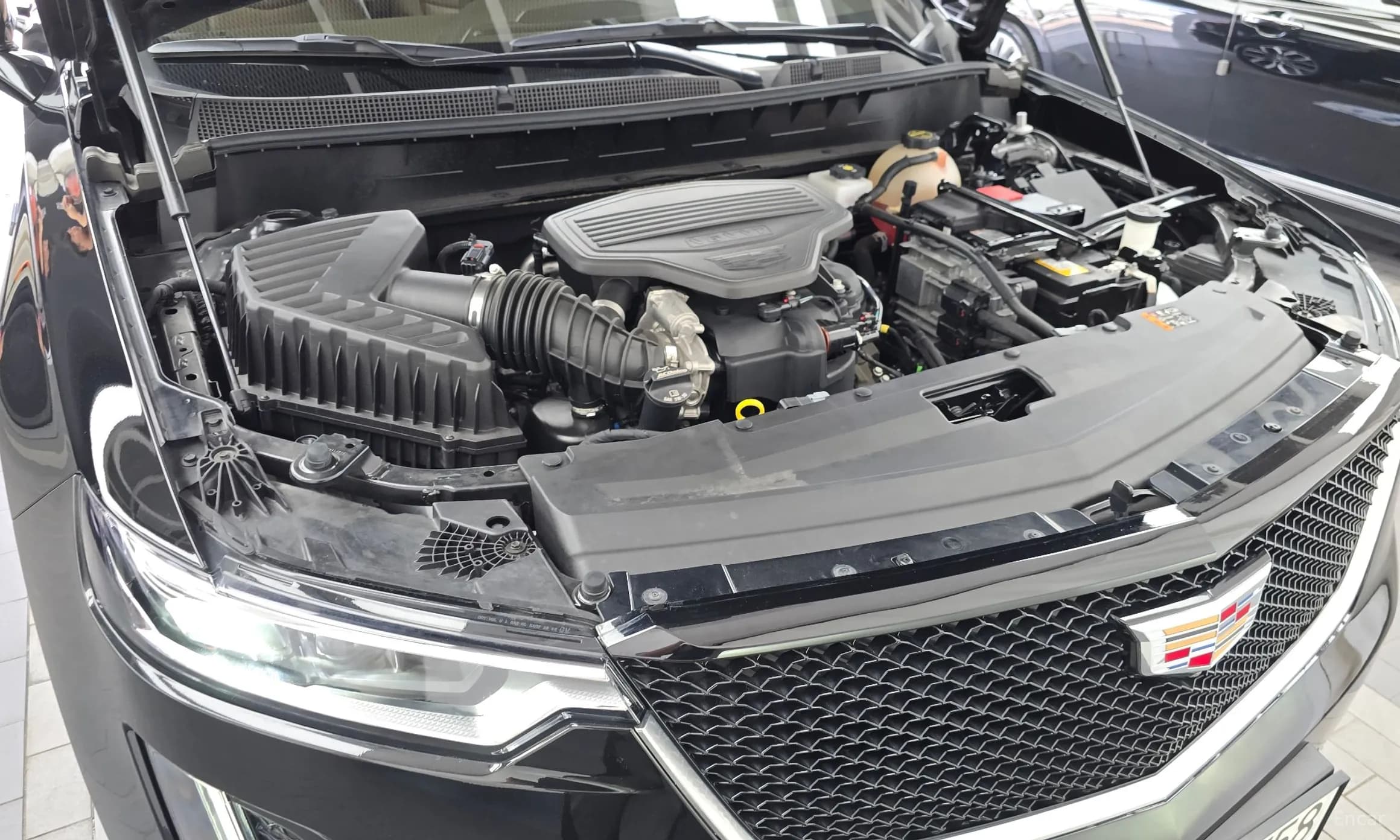 XT6