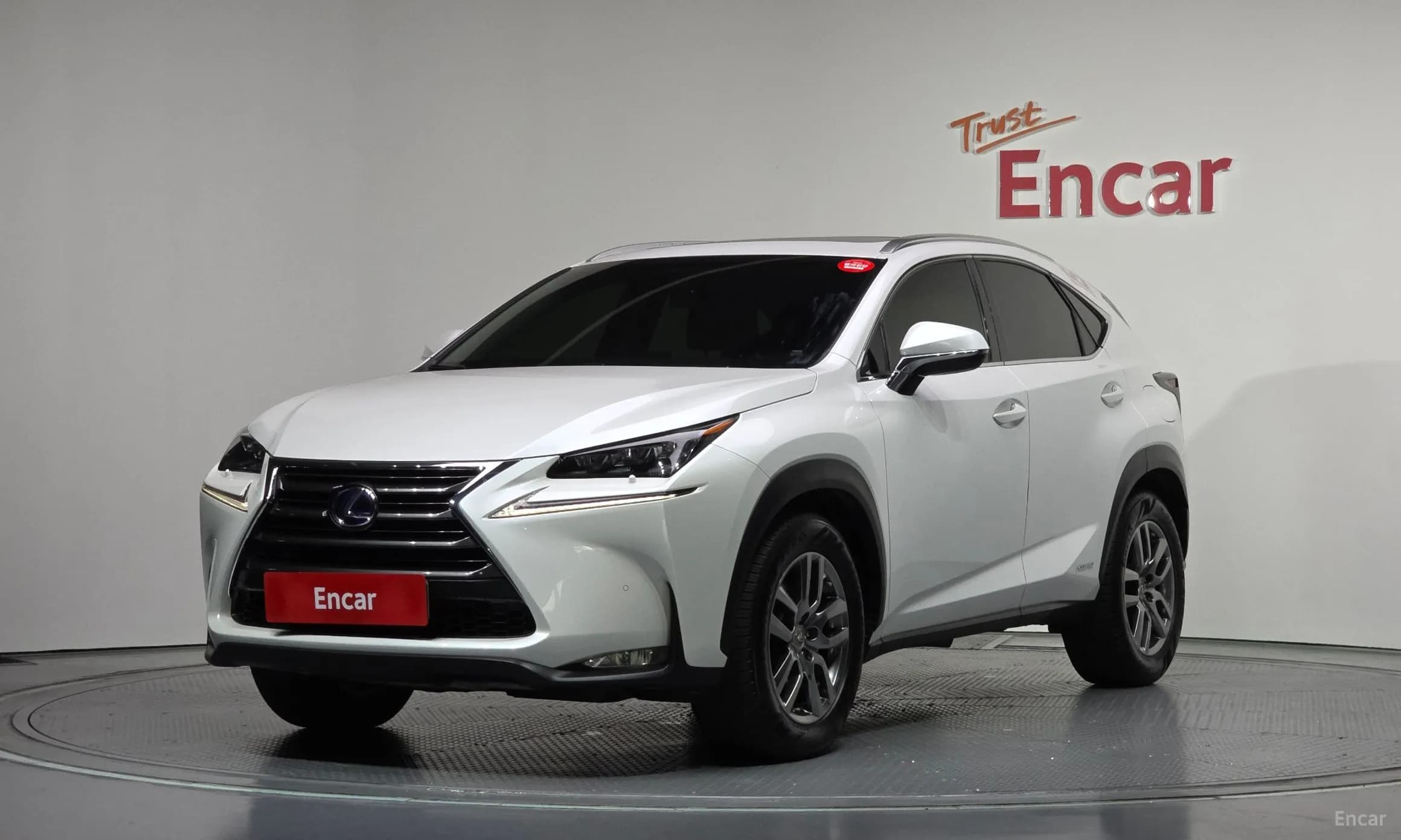 NX300h