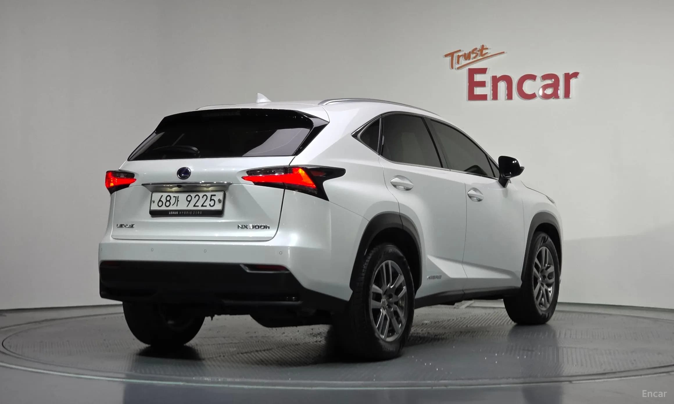 NX300h