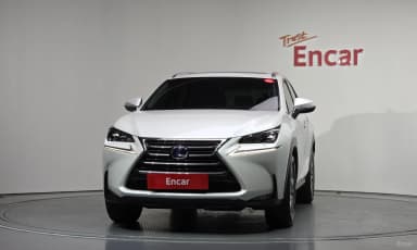 NX300h