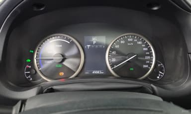 NX300h