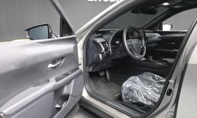 UX300h