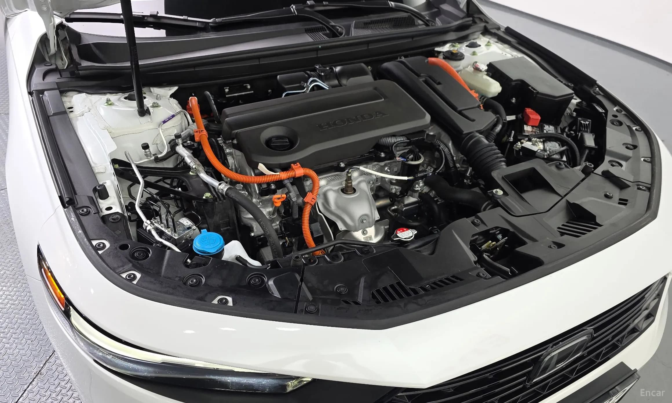 Accord 11th Generation
