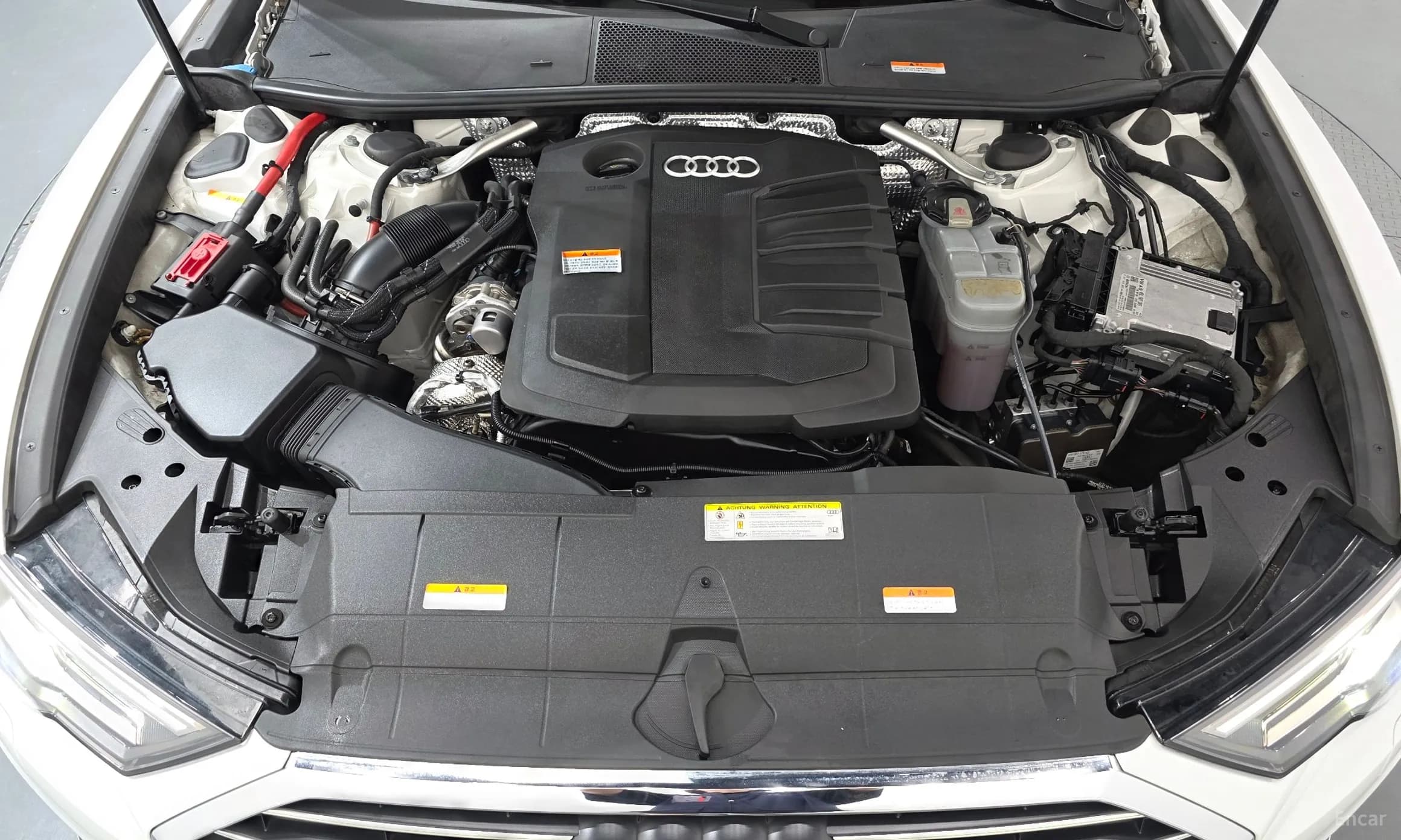 A6 (C8)