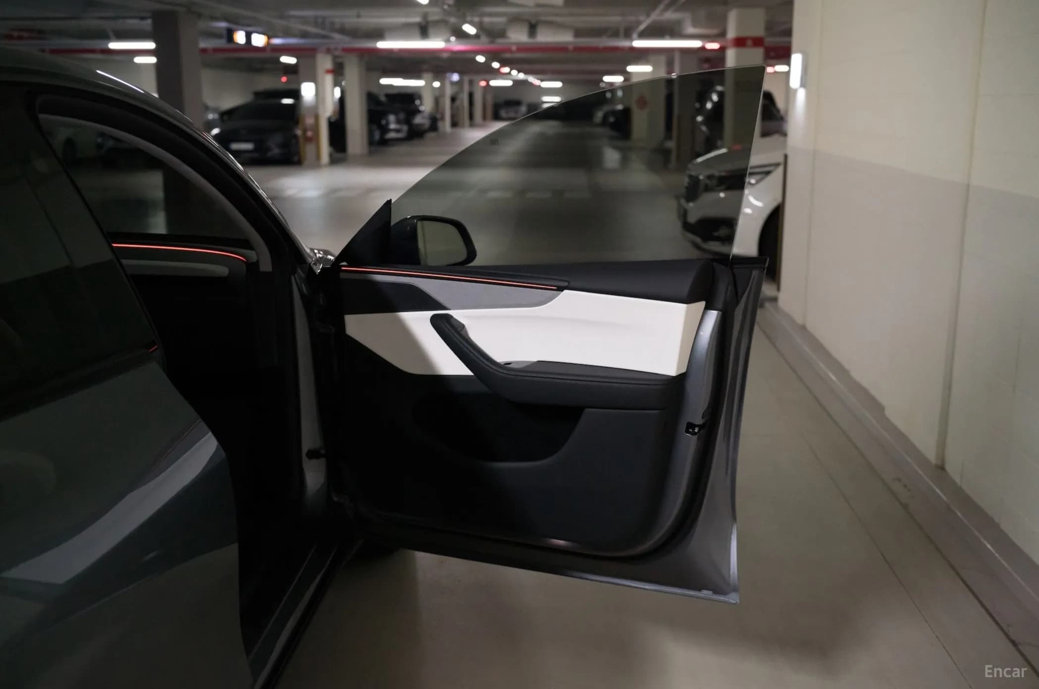 Model Y