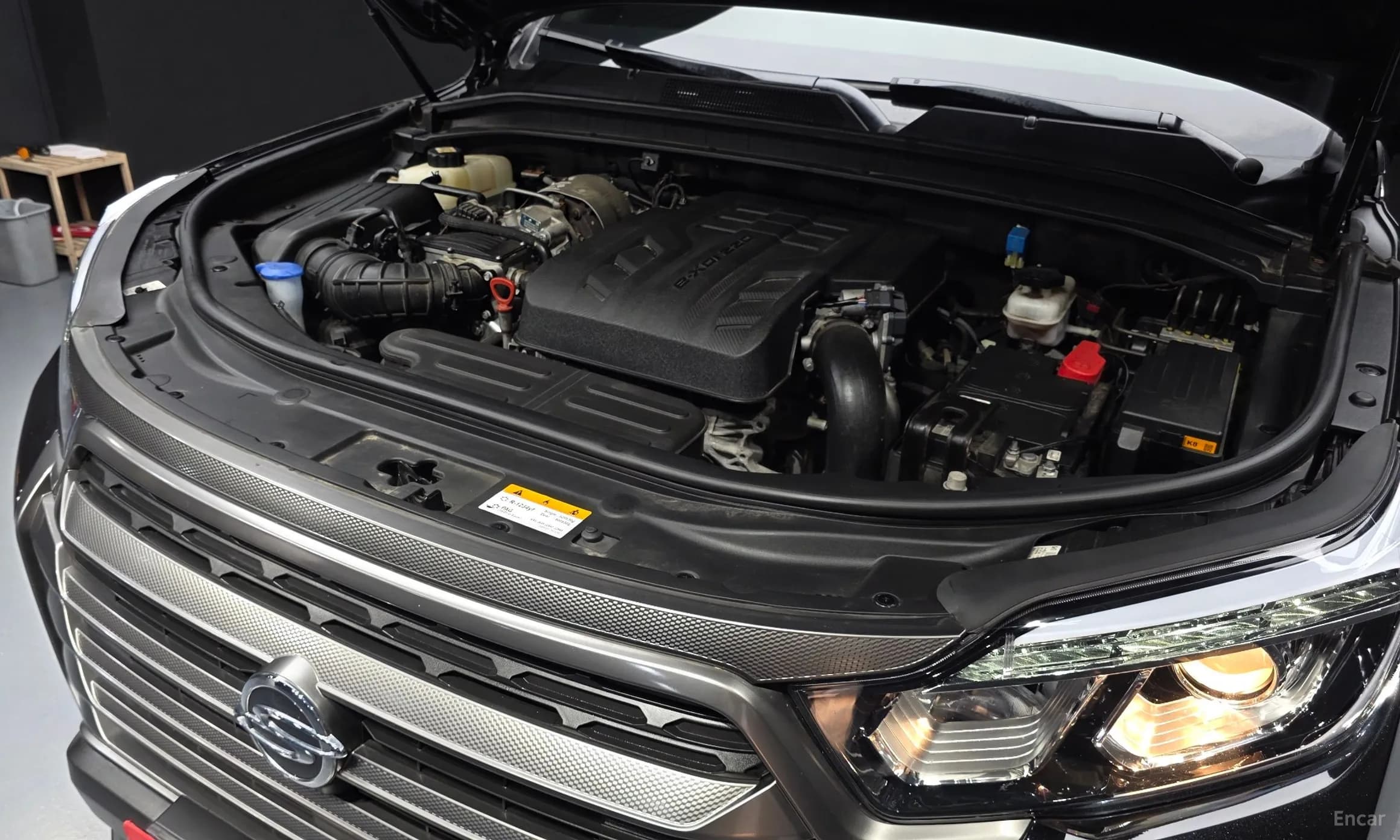 Rexton Sports