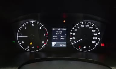 Rexton Sports