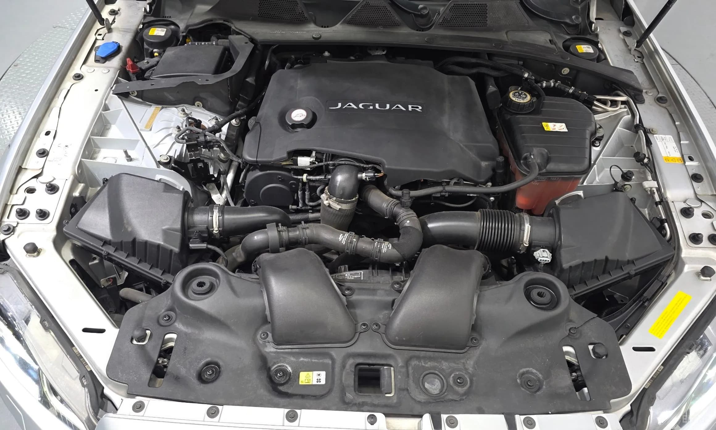 All New XJ