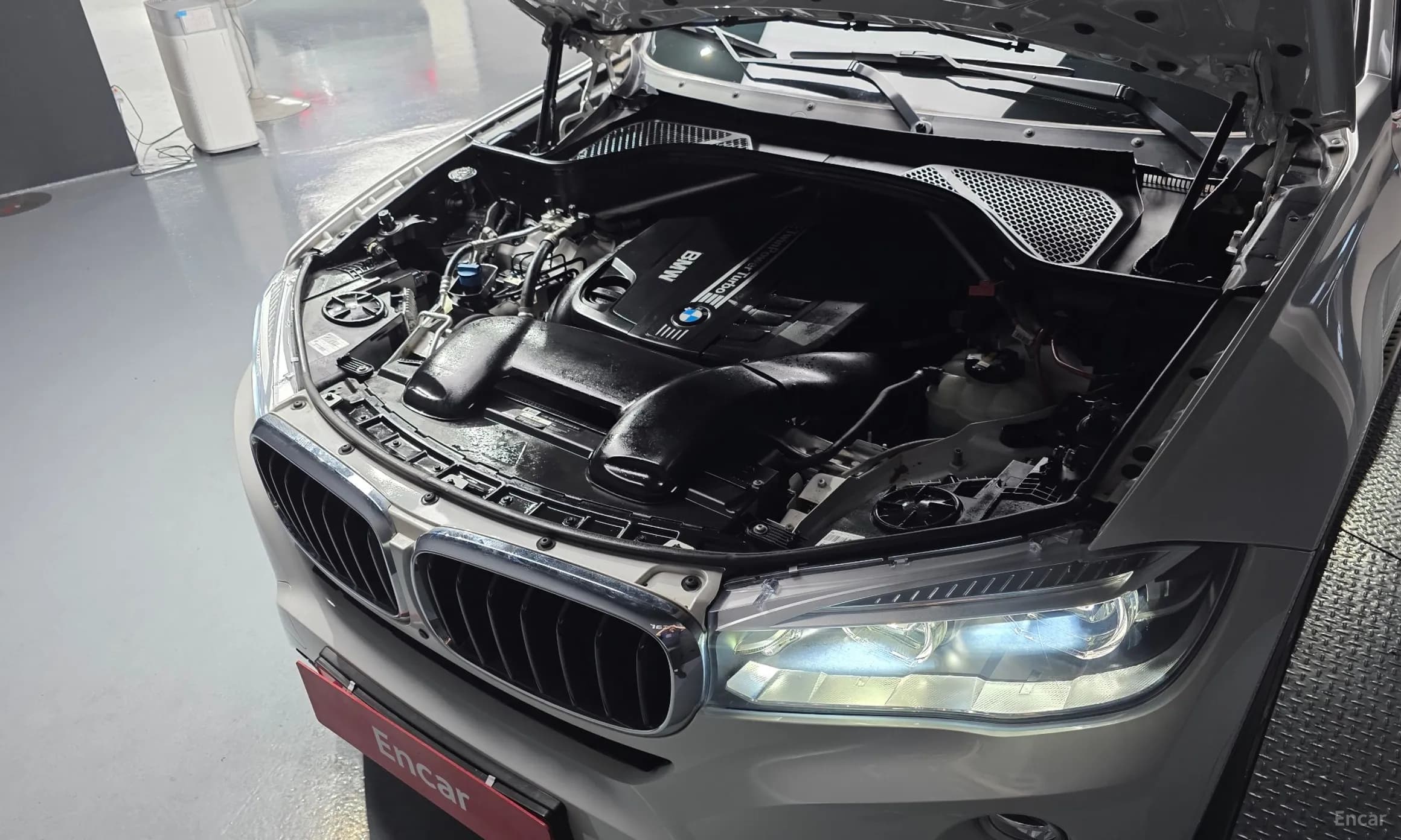 X6 (F16)