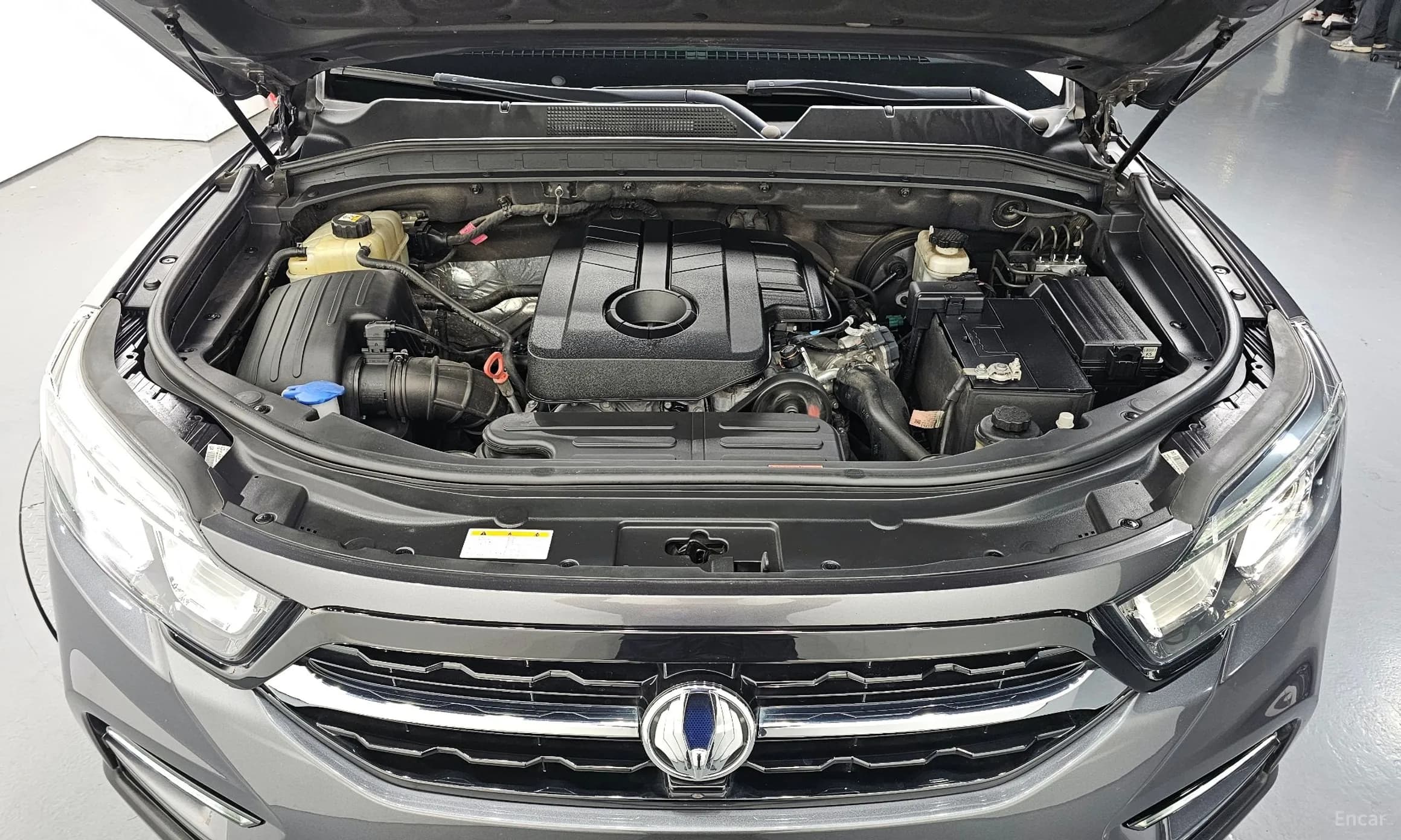 Rexton Sports