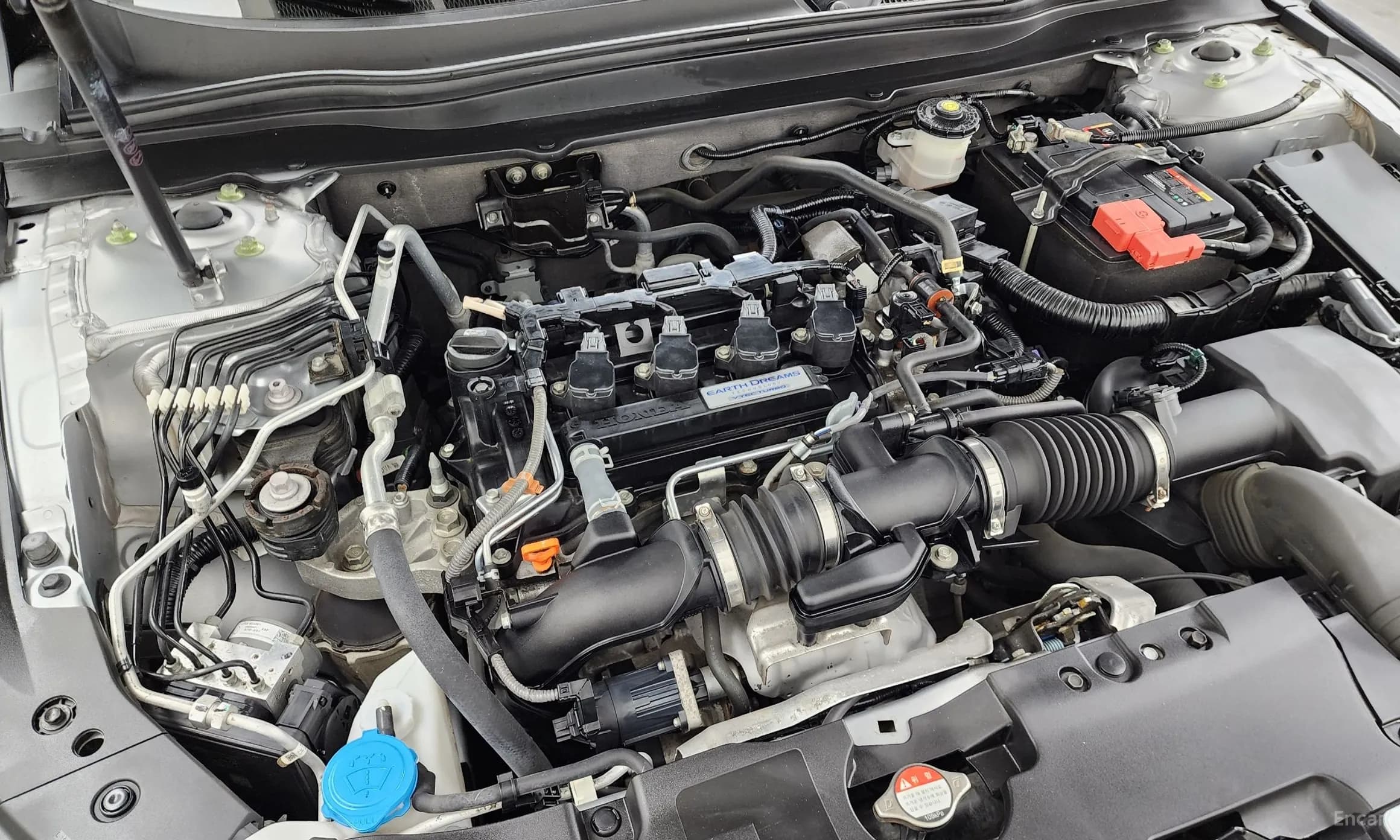 Accord 10th Generation