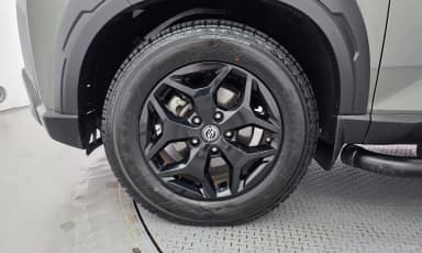 Rexton Sports