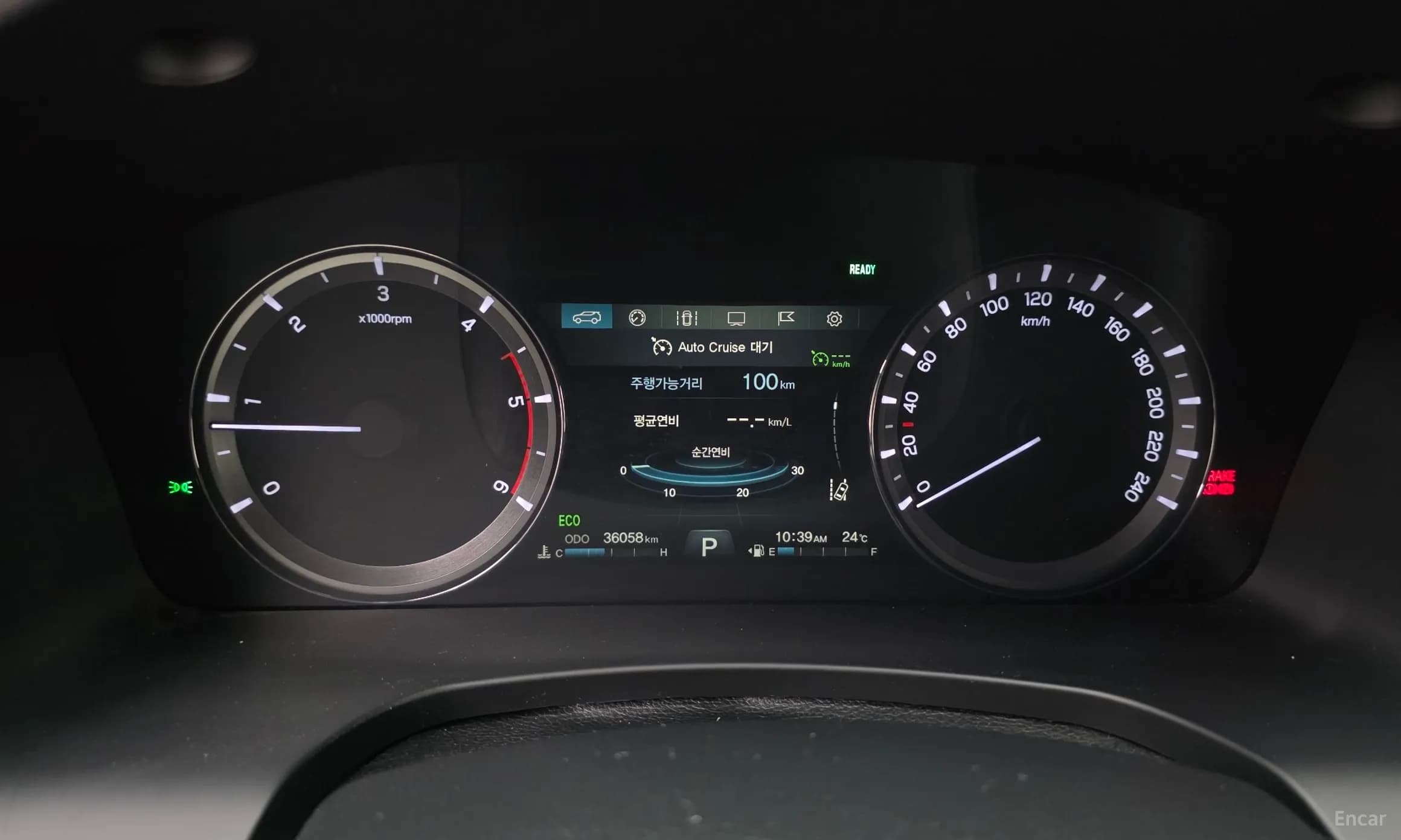 Rexton Sports