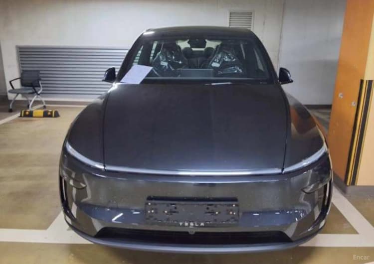 Model Y