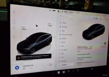Model Y