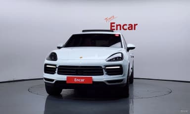 Cayenne (PO536)