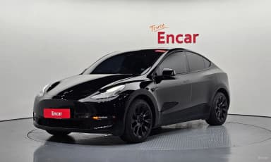 Model Y
