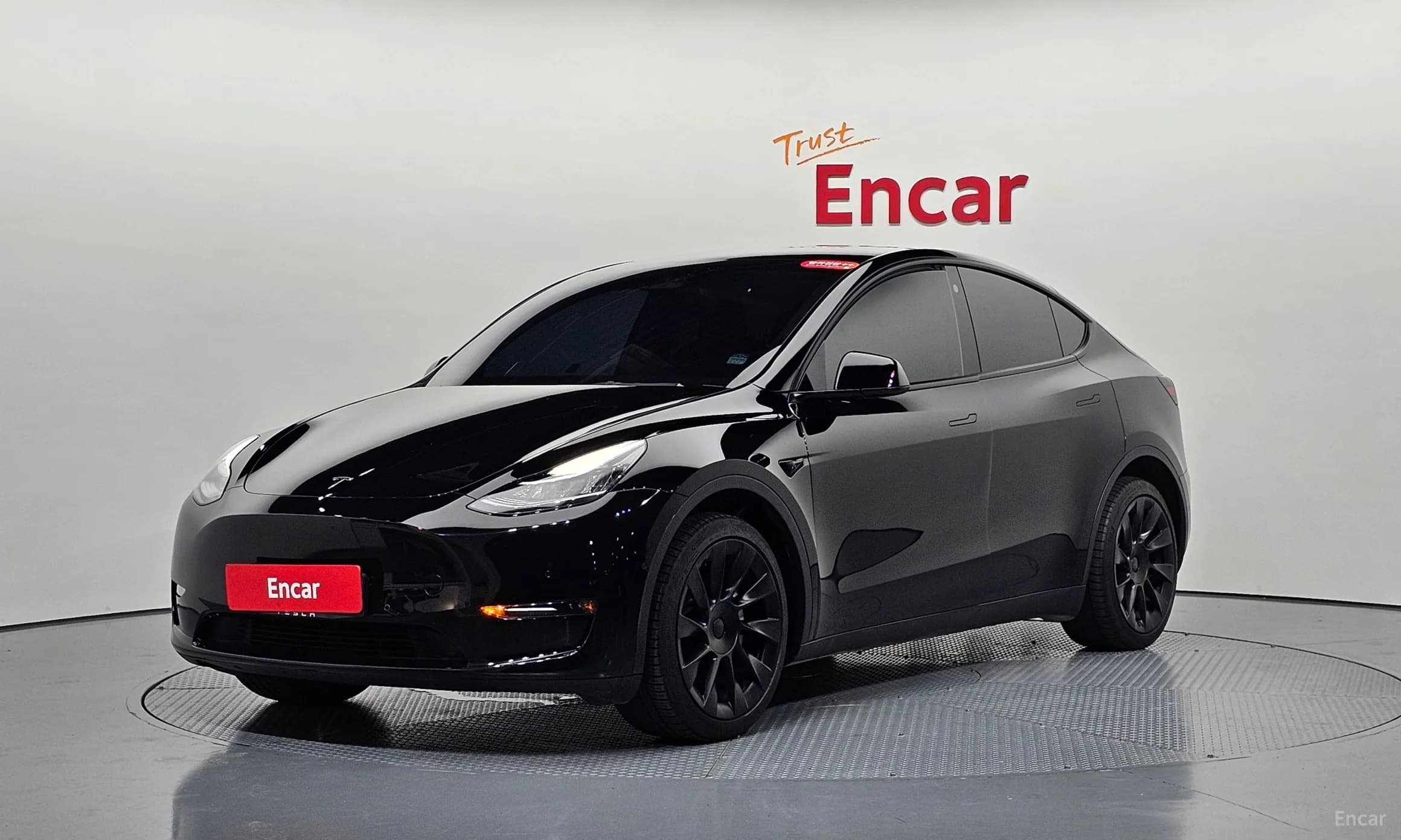 Model Y