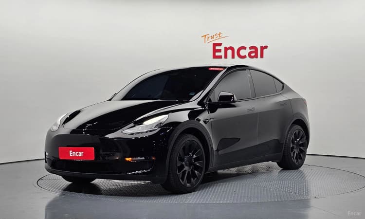 Model Y