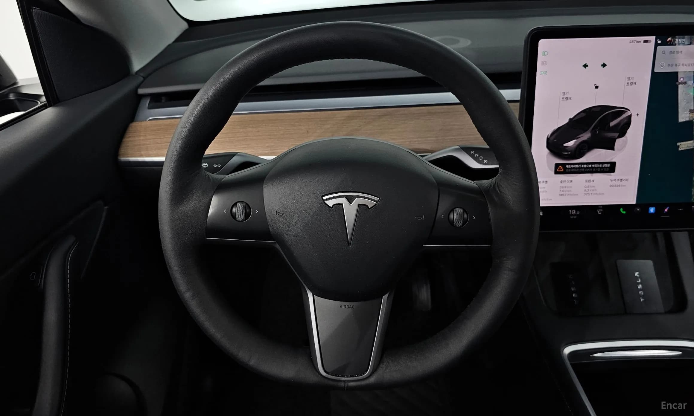 Model Y
