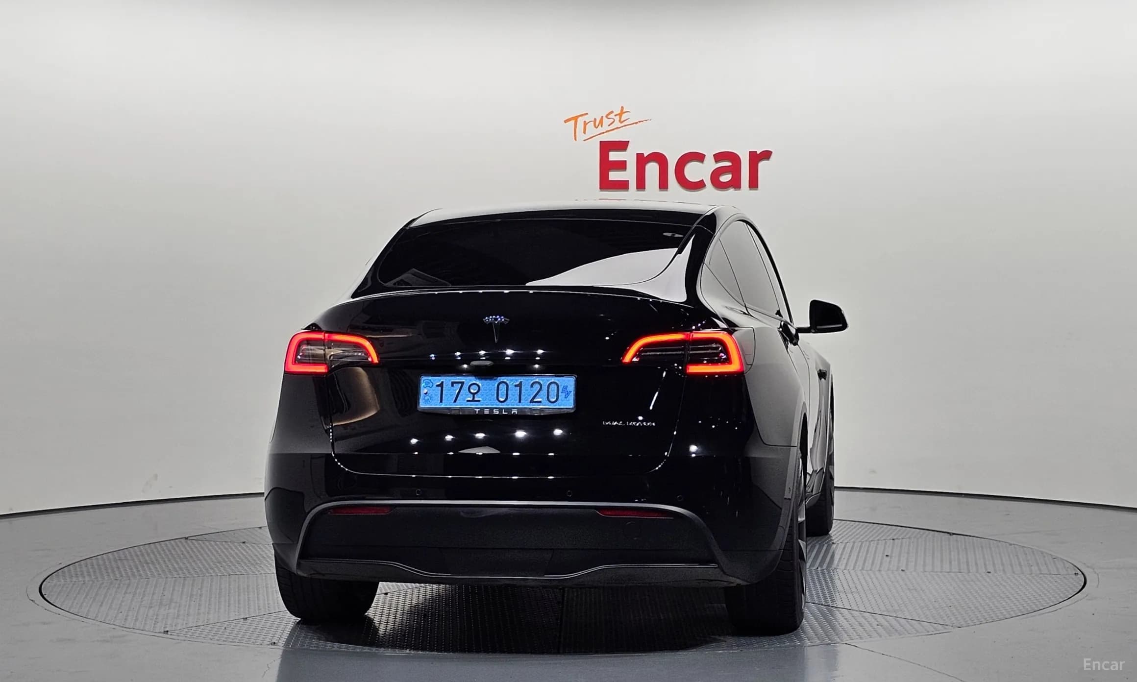 Model Y