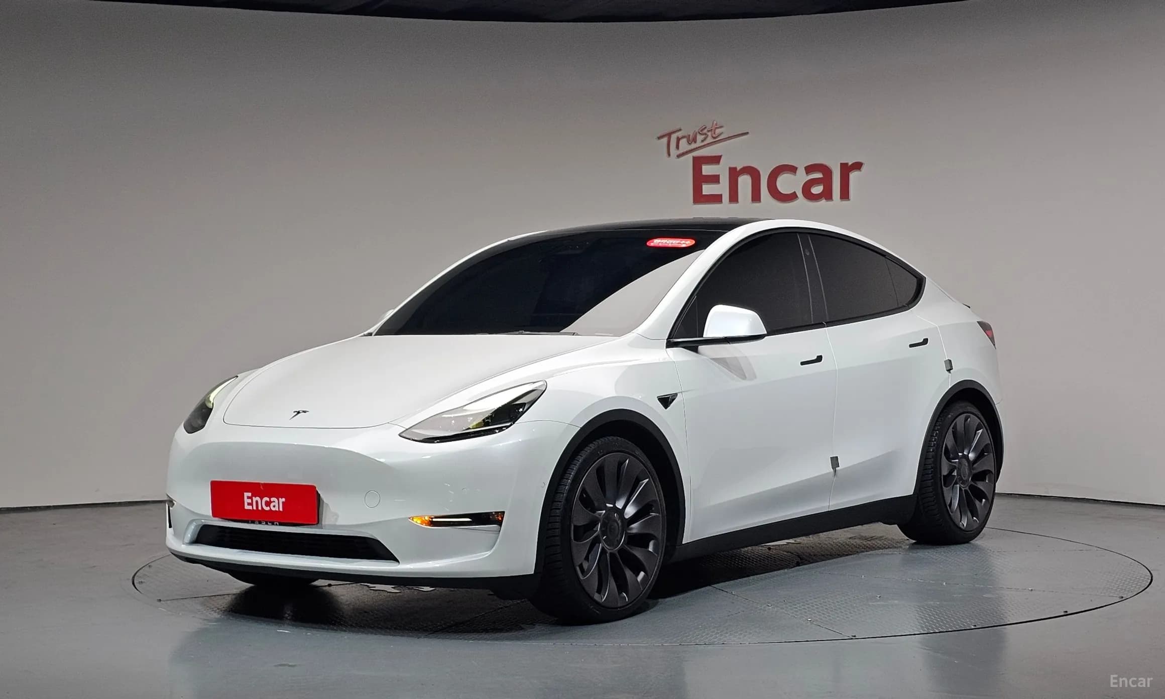Model Y