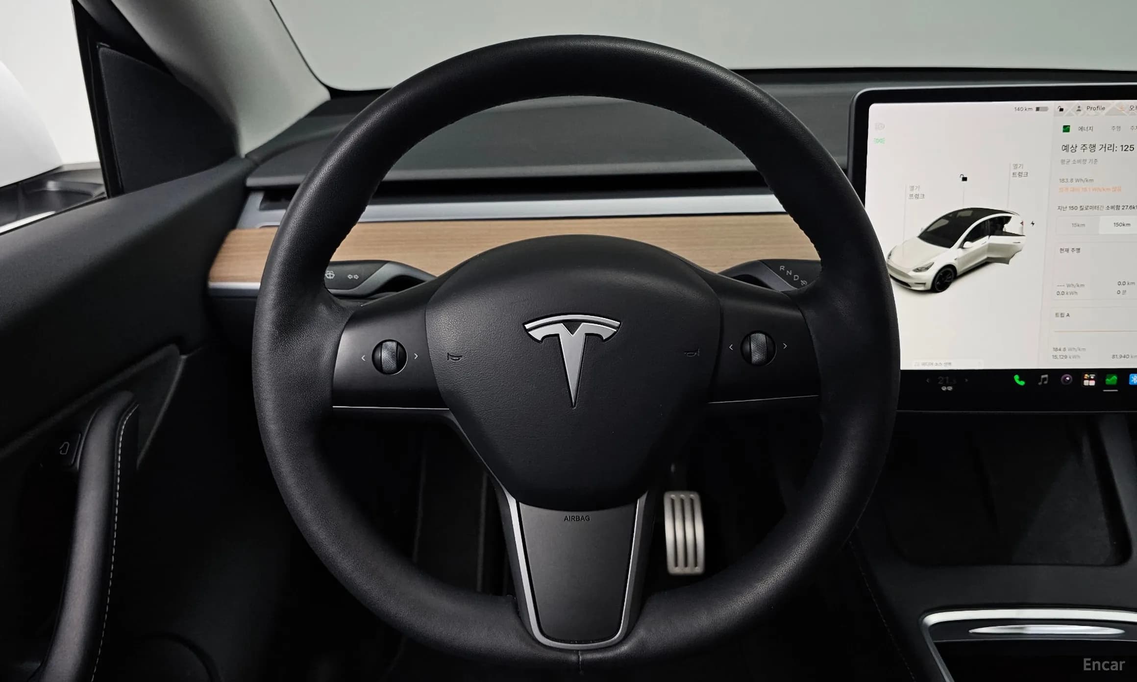Model Y