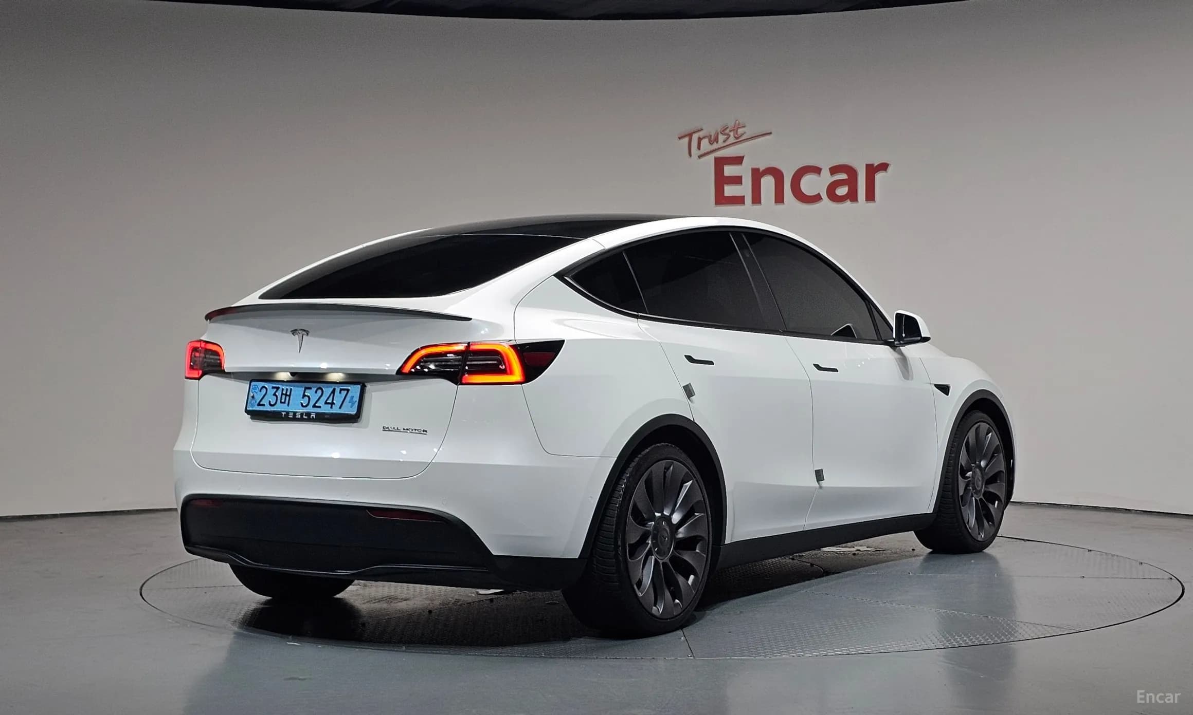 Model Y