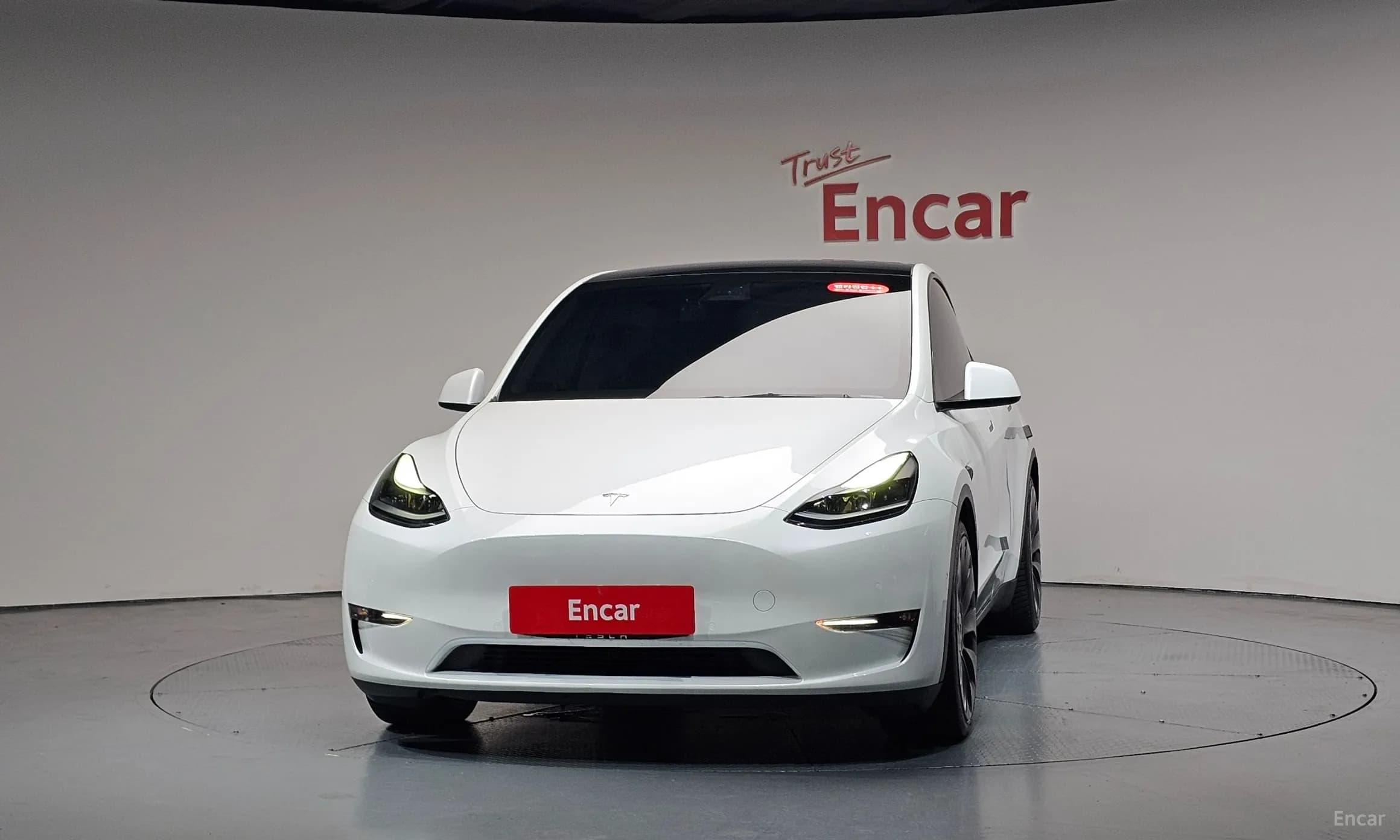 Model Y