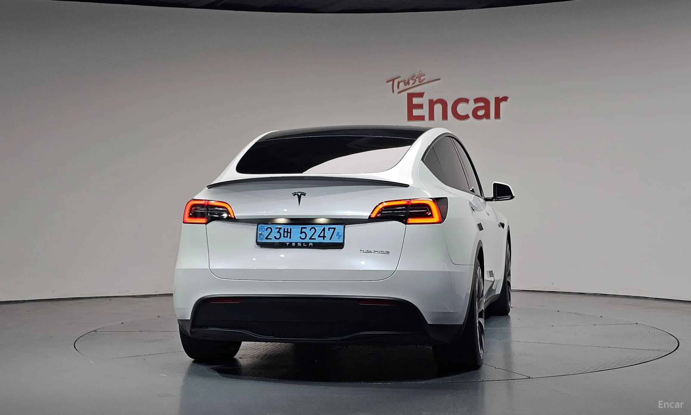 Model Y