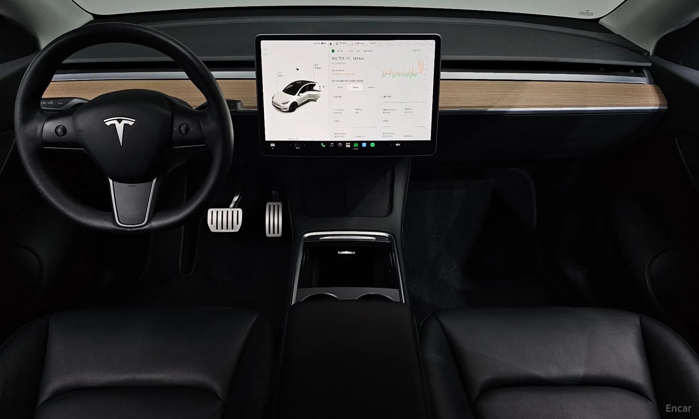 Model Y