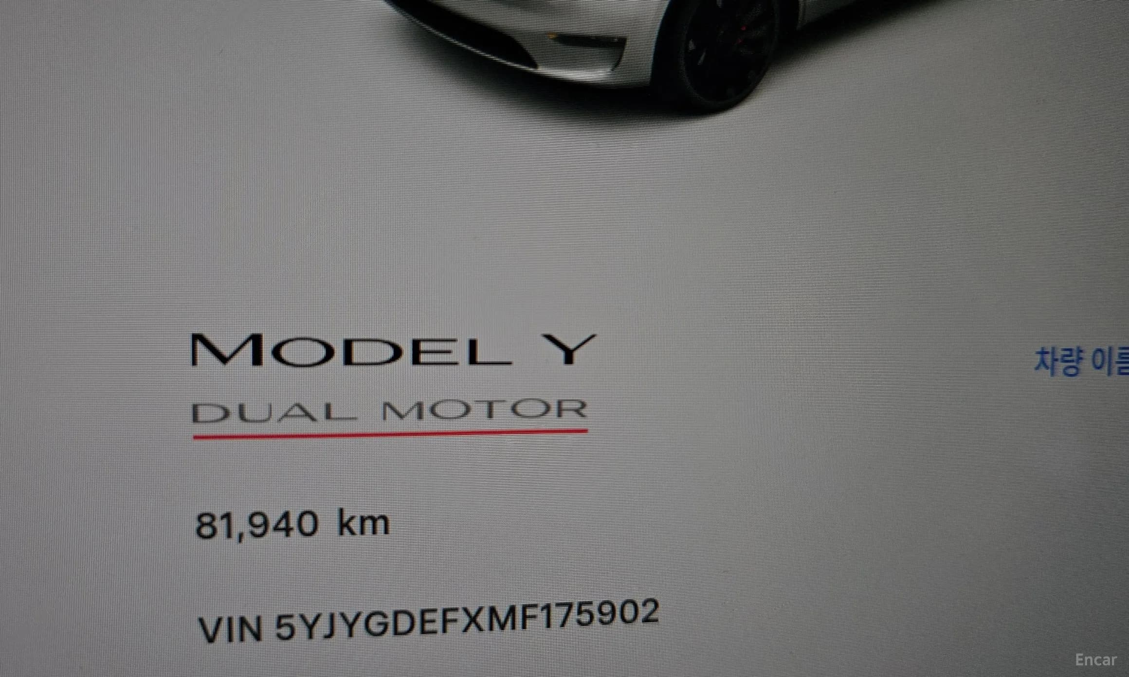 Model Y