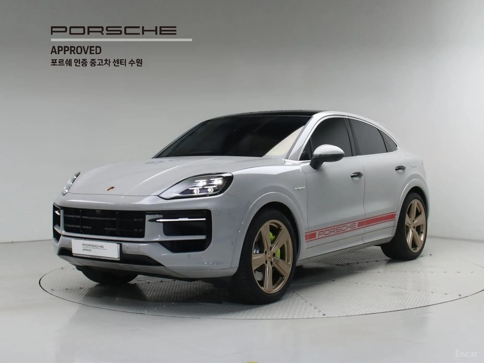 Cayenne (PO536)