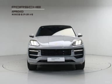 Cayenne (PO536)