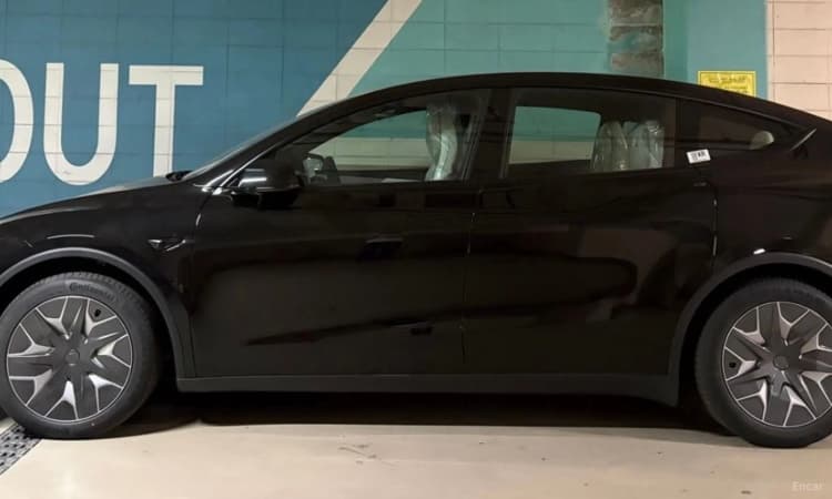Model Y
